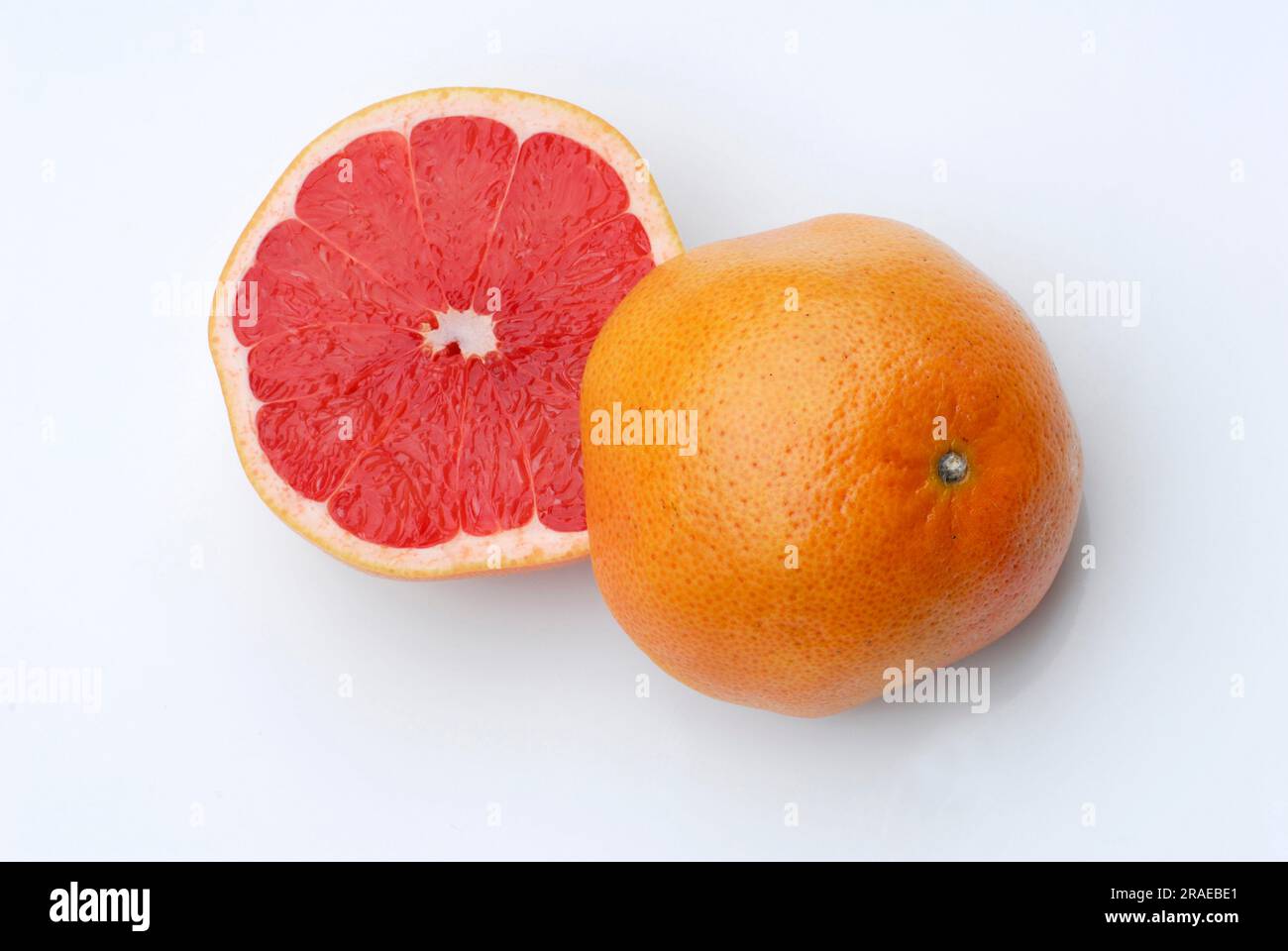 Grapefruit (Citrus x paradisi) (Citrus maxima Stock Photo Alamy