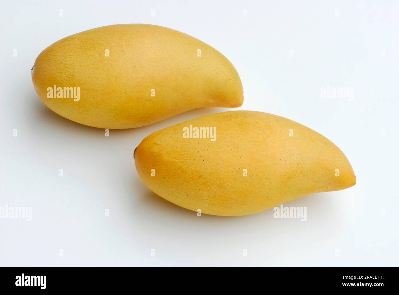 Thai mango, Nam dok mai, Thailand Stock Photo Alamy