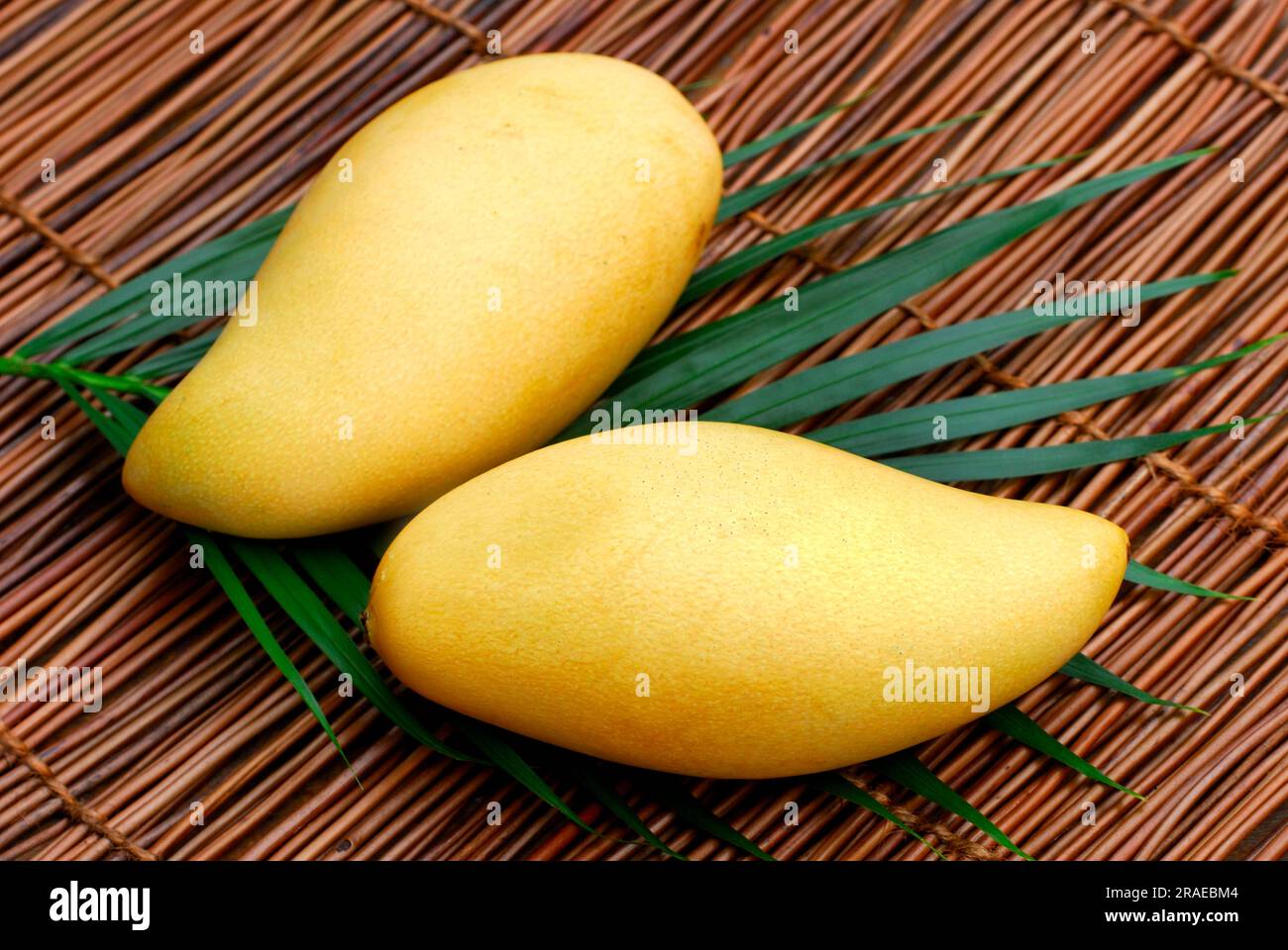 Thai mango, Nam dok mai, Thailand, Asia Stock Photo Alamy