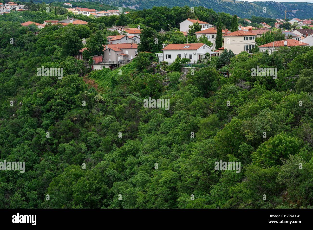Beautiful homes, estates and green forest in the mountaines Stock Photo