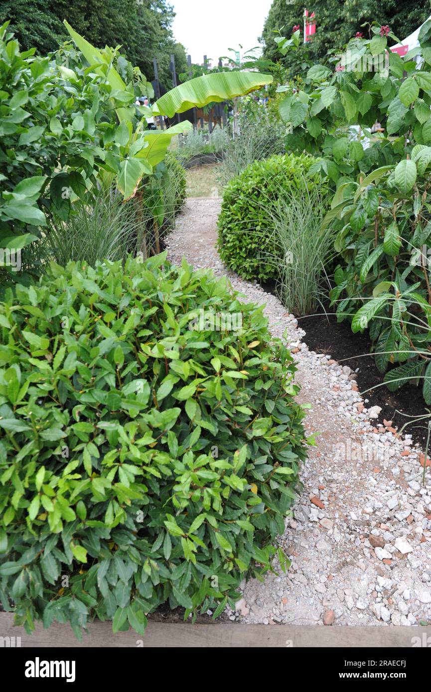 Grenfell garden of peace hires stock photography and images Alamy