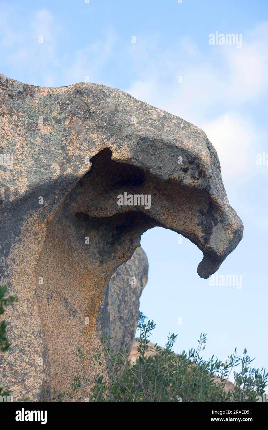 Granite rocks, Bear Cape, coast near Palau, Sardinia, Capo d'Orso, Italy Stock Photo