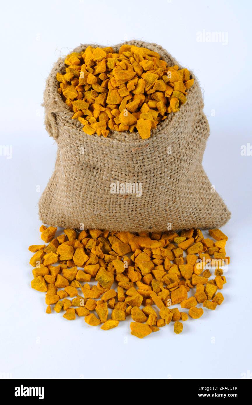 Curcuma rhizome (Rhizoma Curcumae Longae), turmeric, Babylonian saffron