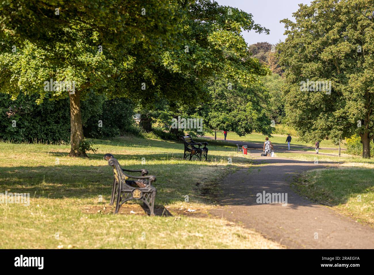 Brent, London, England, England, Local Area Photography Stock Photo