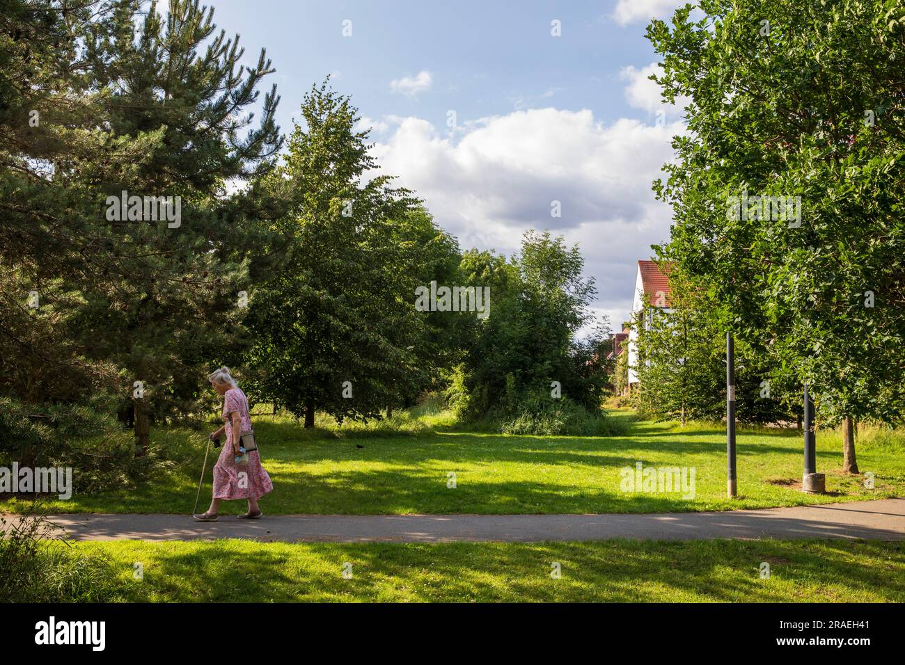Housing in the City of York, UK. Derwenthorpe Housing project, York