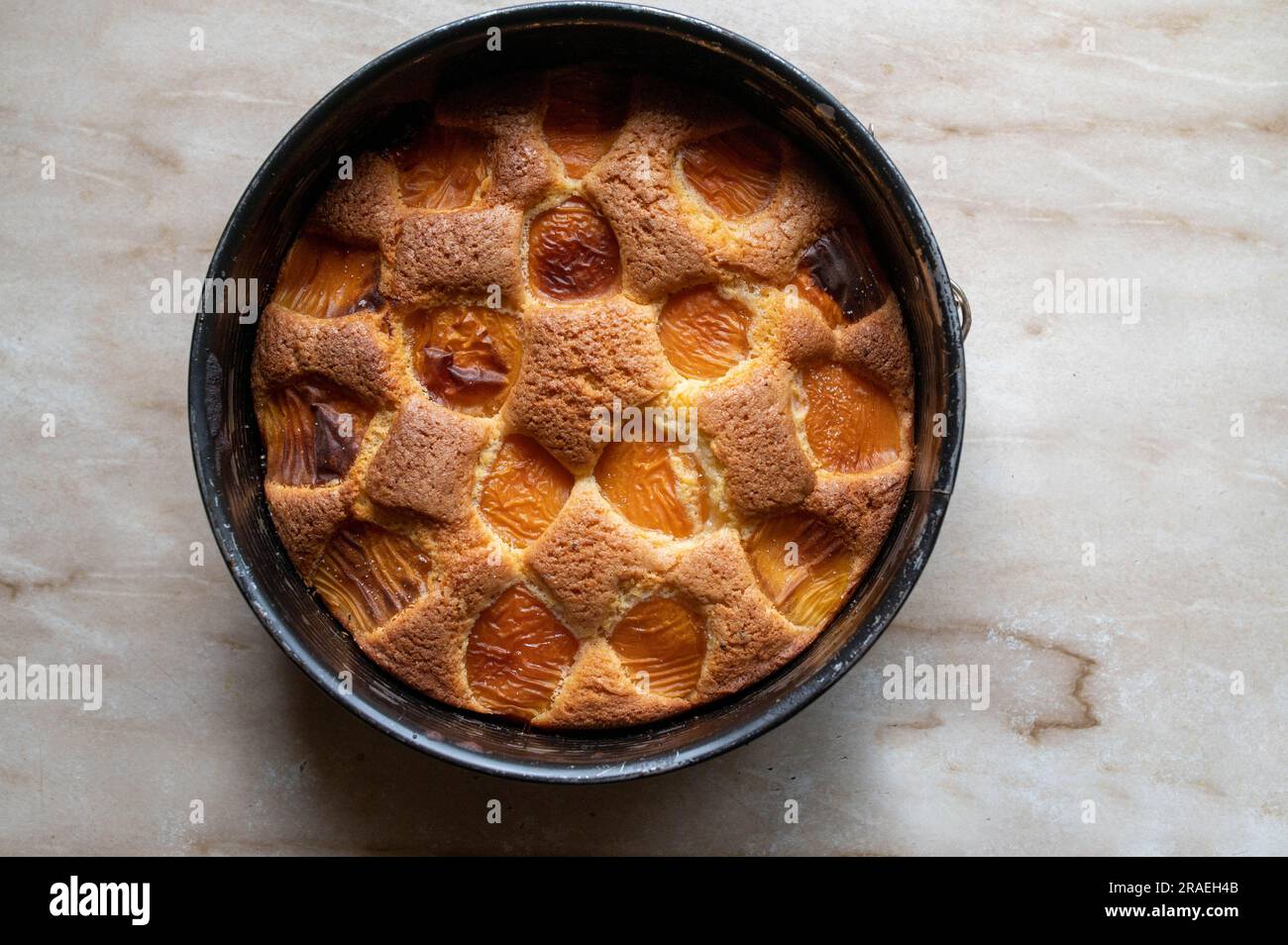 Apricot cake in a round cake pan isolated on light background Stock Photo