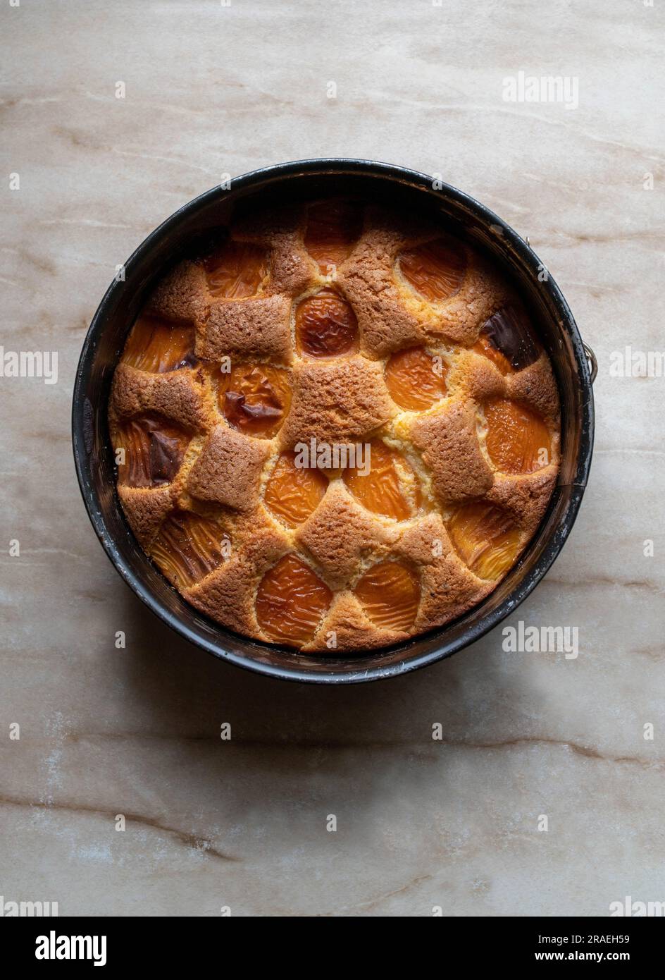 Apricot cake in a round cake pan isolated on light background Stock Photo