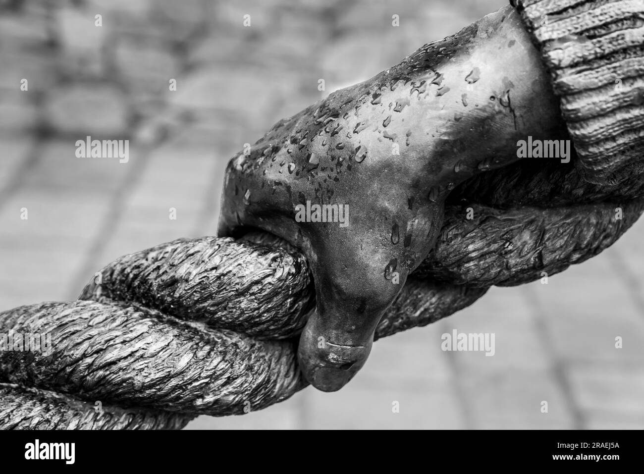 Black and white close up of a bronze hand gripping a rope, part of  'The Docker' sculpture in St Helier, Jersey created by artist Colin Miller Stock Photo