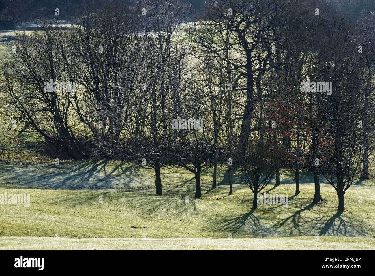 A crisp, frosty morning with sun and shadows near Bakewell, Derbyshire, England Stock Photo