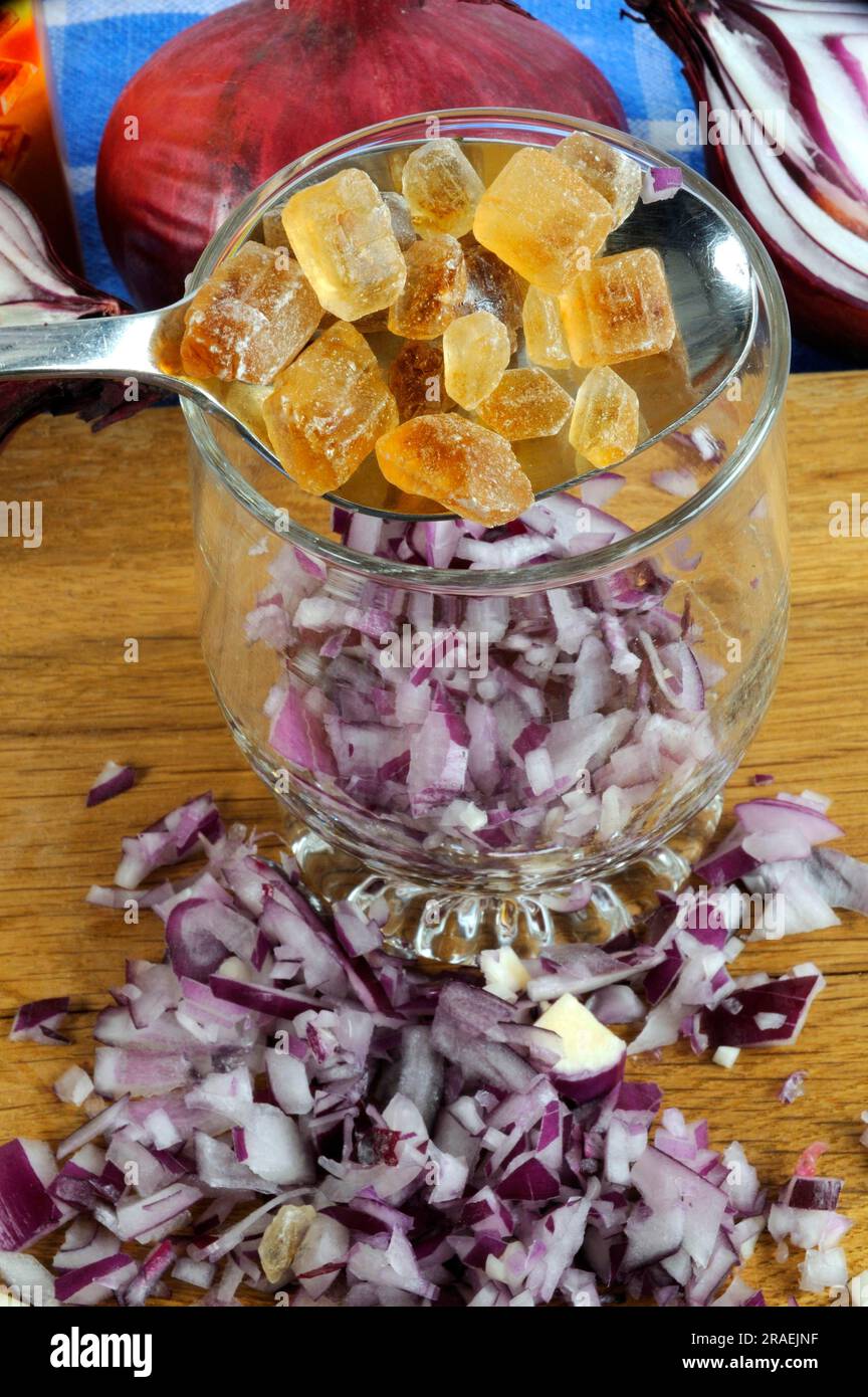 Red onions (Allium cepa) and brown candy, sugar, ingredients for cough