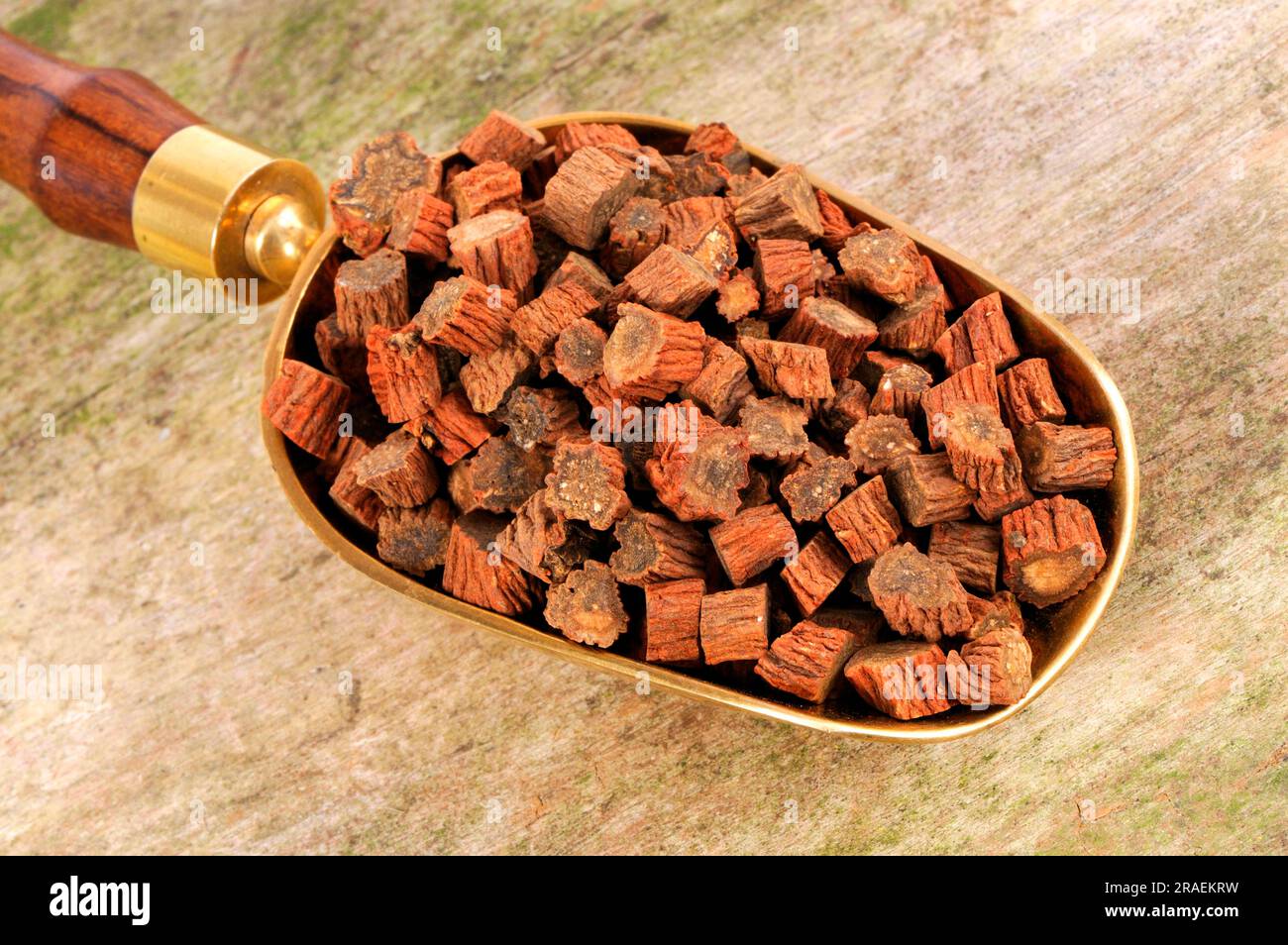 Redrooted sage root (Salviae miltiorrhizae Radix), Dan Shen Stock