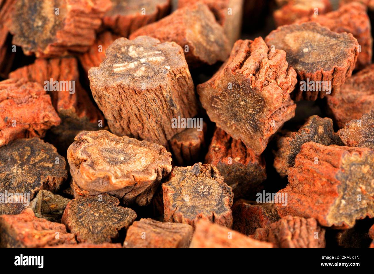 Redrooted sage root (Salviae miltiorrhizae Radix), Dan Shen Stock