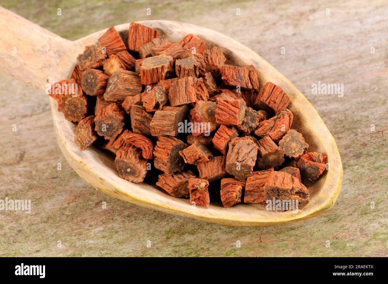 Redrooted sage root (Salviae miltiorrhizae Radix), Dan Shen Stock