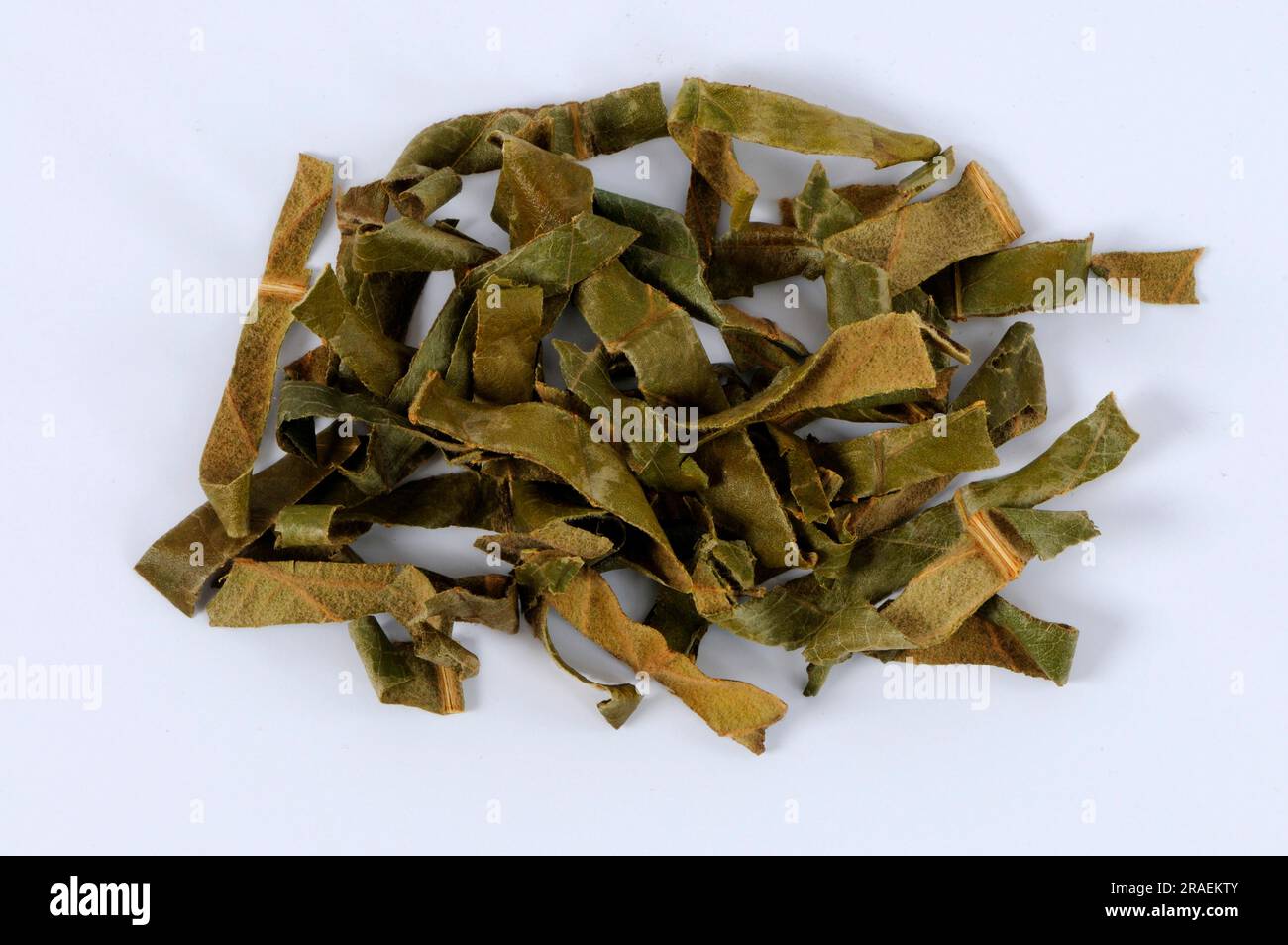 Loquat leaves (Eriobotryae Folium), Pi Pa Ye, excised, object Stock Photo