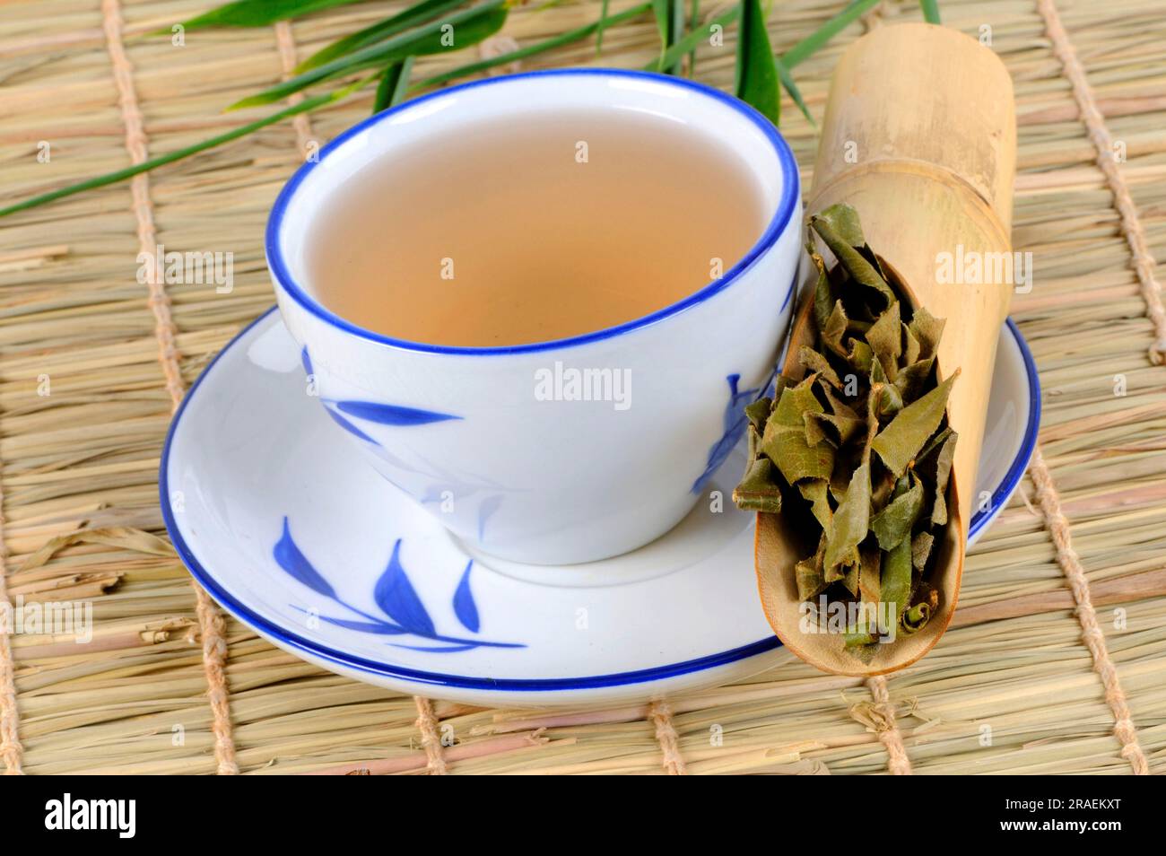 Cup of tea from loquat leaves (Eriobotryae Folium), Pi Pa Ye Stock Photo