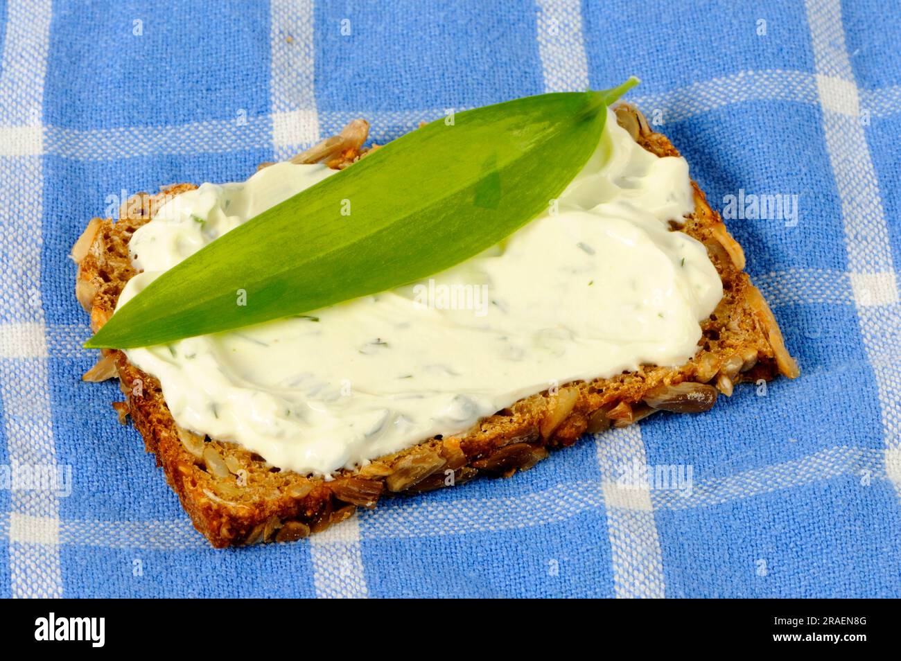Ramsons leaf (Allium ursinum) on wholemeal bread, wild garlic Stock