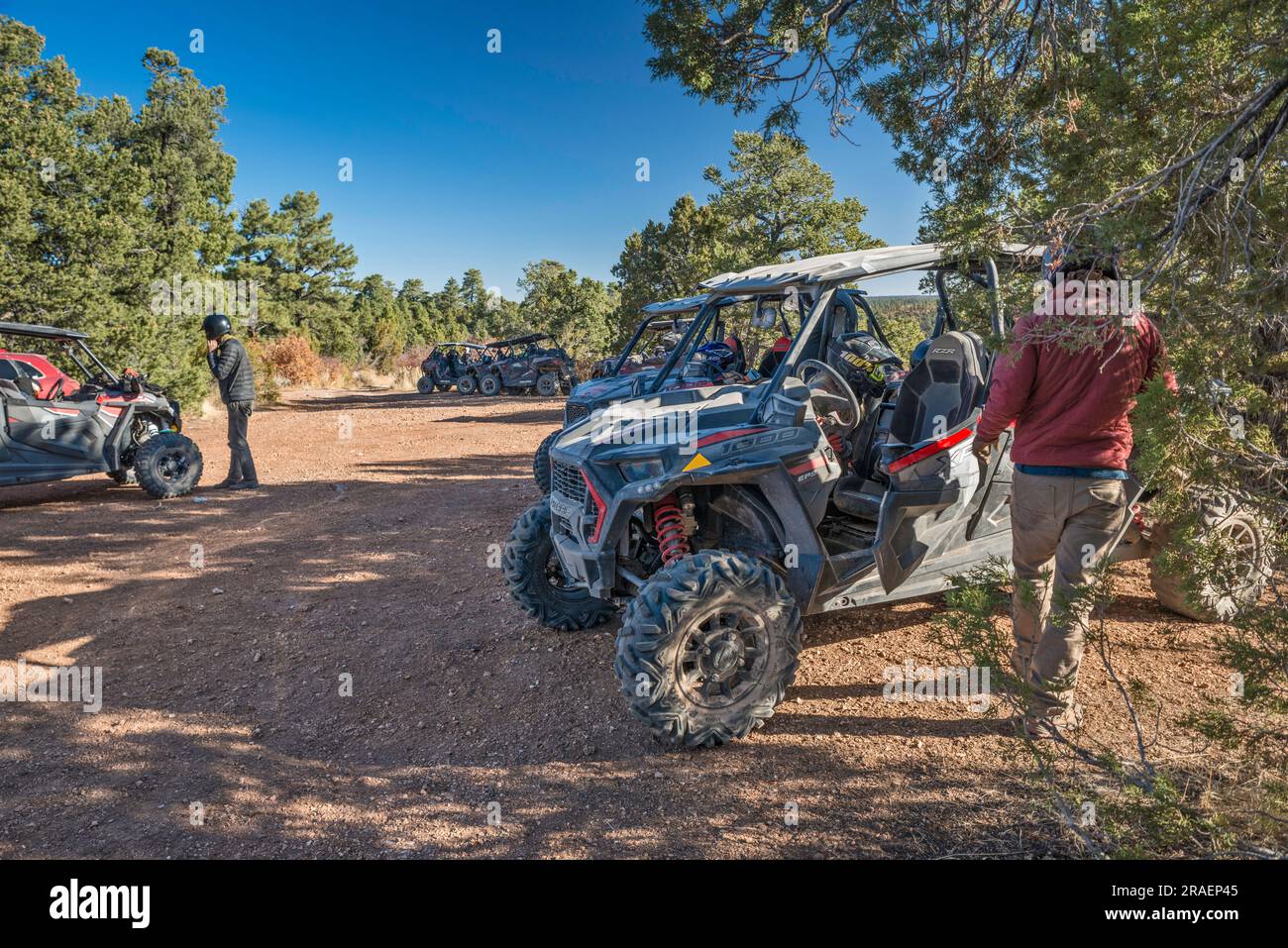 Young adults, UTV recreational vehicles, setting up to get going, Crazy Jug Viewpoint area, North Rim of Grand Canyon, Kaibab Plateau, Kaibab National Forest, Arizona, USA Stock Photo