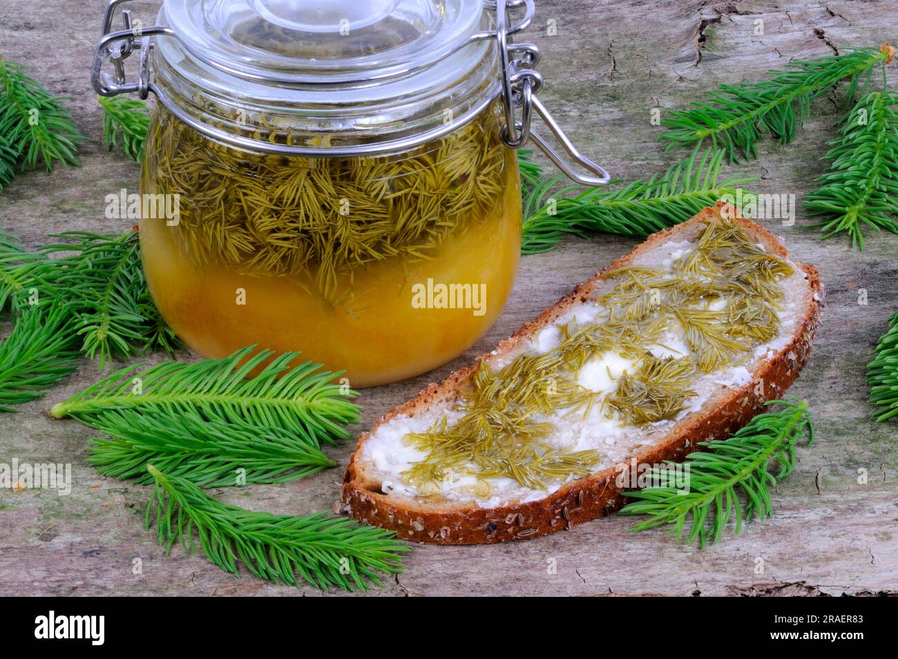 Slice of bread and jar of spruce lace honey, honey, common spruce (Picea abies), red spruce Stock Photo