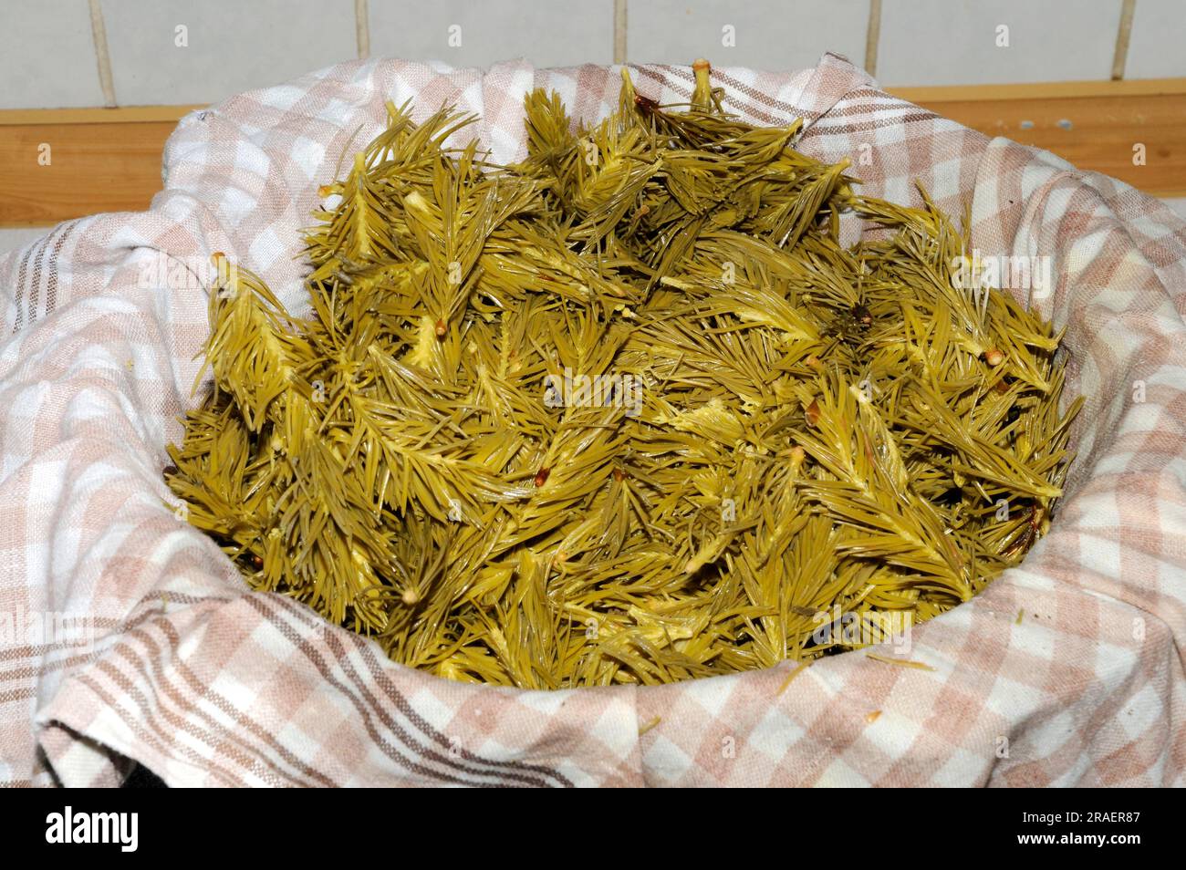 Production of spruce tip syrup (Picea abies), spruce tip syrup Stock Photo