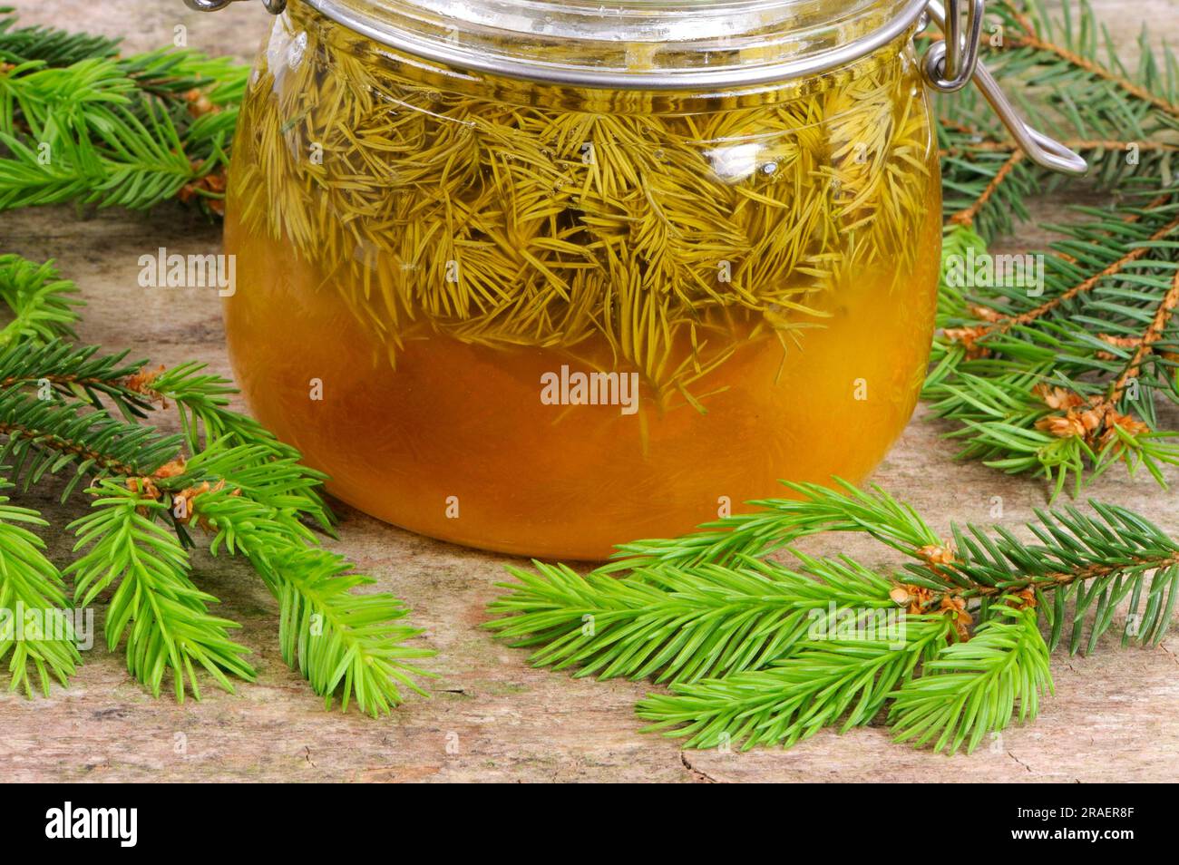 Preserving jar with spruce tip honey, red spruce (Picea abies), honey Stock Photo