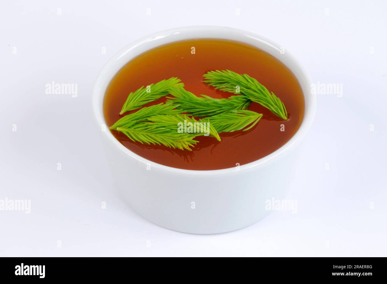 Spruce tip honey, red spruce (Picea abies), honey Stock Photo