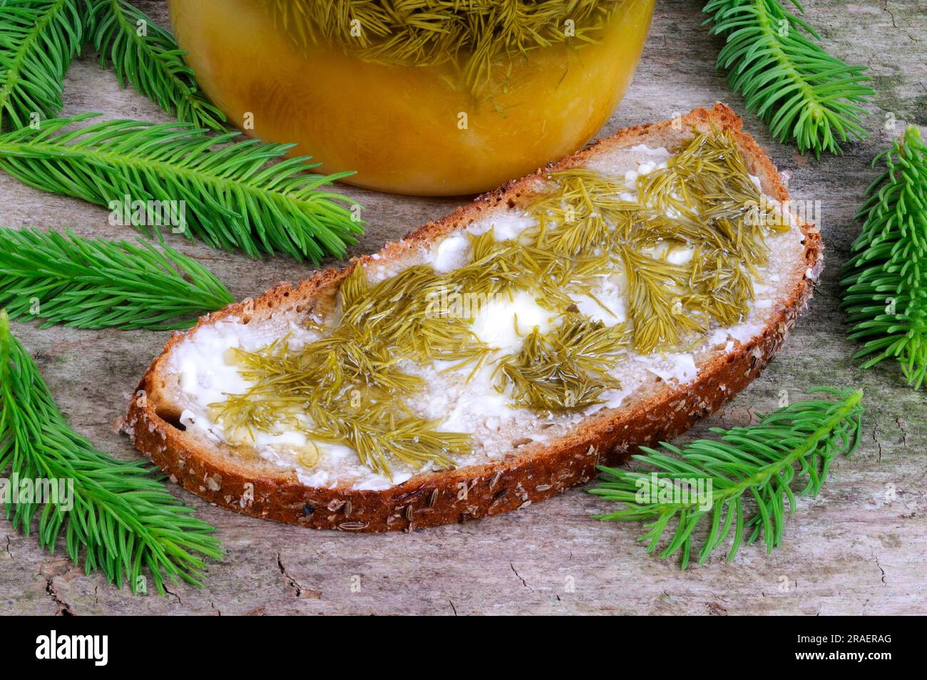 Slice of bread with spruce lace honey, honey, common spruce (Picea abies), red spruce Stock Photo