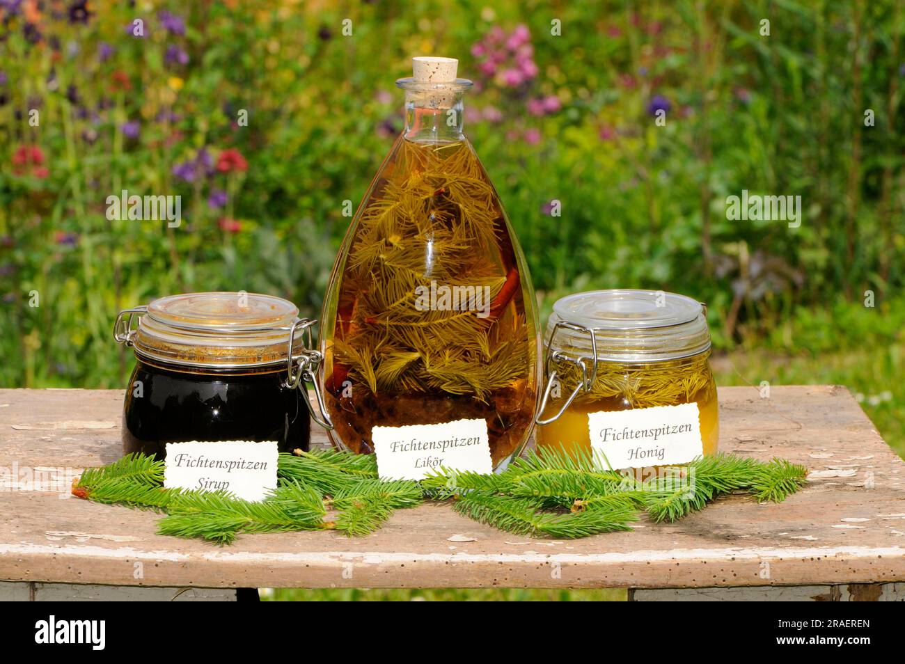 Spruce tip syrup, spruce tip liqueur and spruce tip honey (Picea abies), spruce tip syrup, spruce tip honey, spruce tip liqueur Stock Photo
