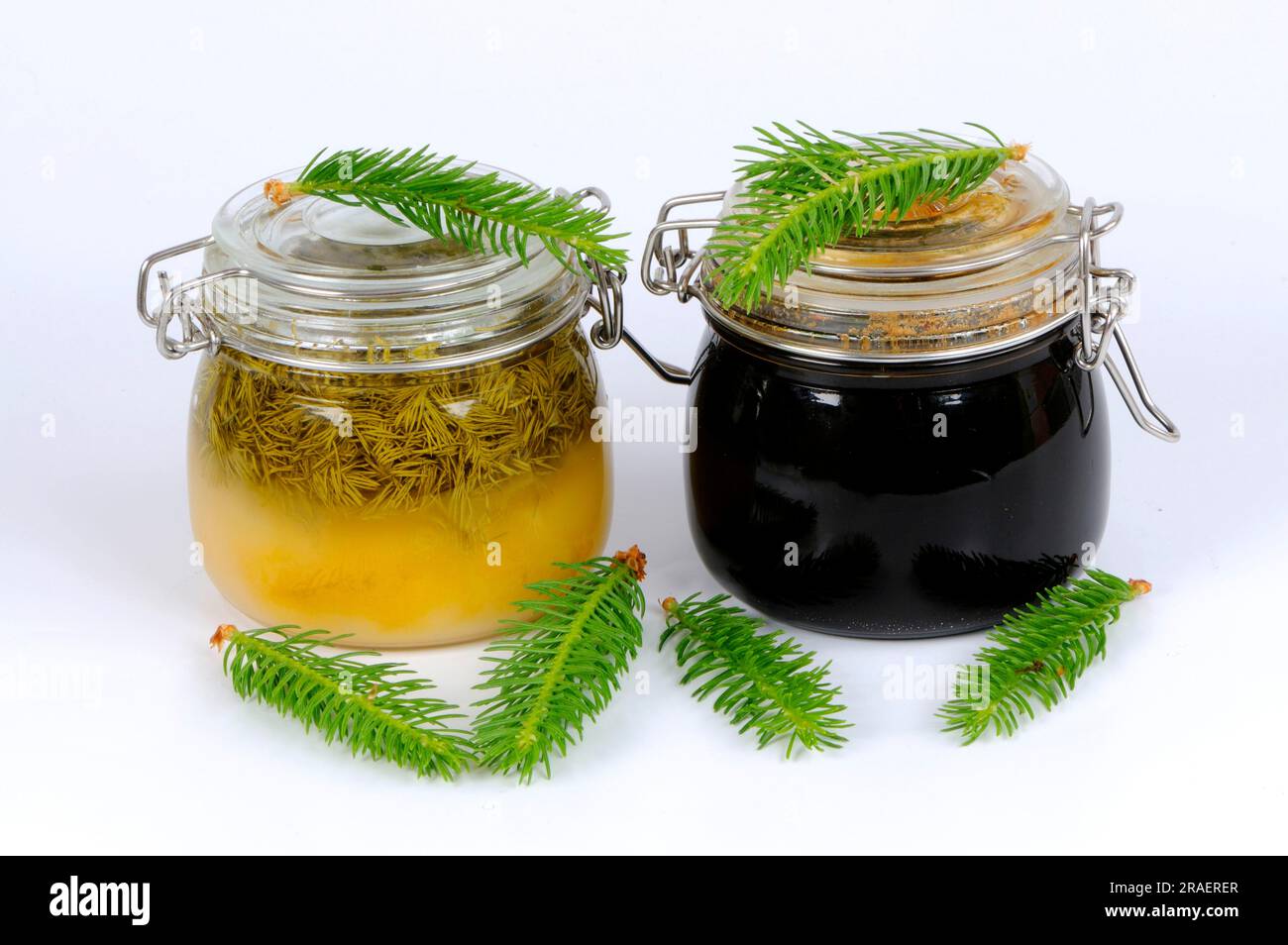 Spruce tip syrup and spruce tip honey (Picea abies), spruce tip syrup, spruce tip honey Stock Photo