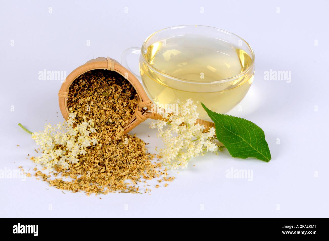 Cup of elderflower tea, dried elderflowers, elderflower tea, black