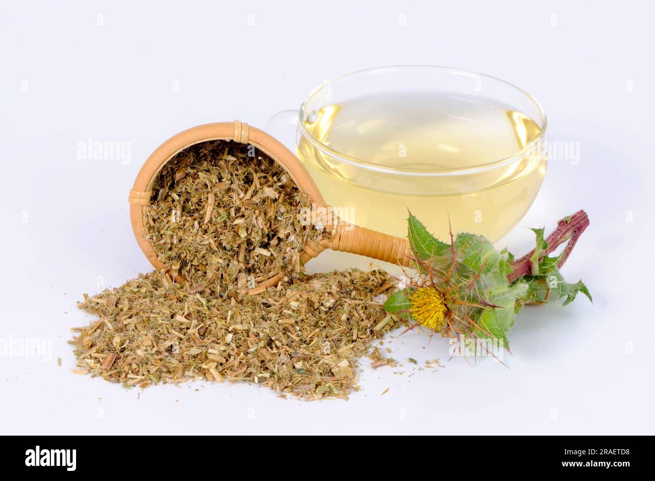Cup benedictus tea, benedictus thistle, dried, benedictus herb (Cnicus ...
