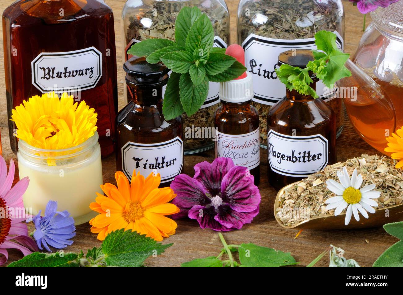 Tinctures with marigold, chicory, peppermint, Fraunmantel, St. John's wort, cornflower, agrimony, sage, yarrow, red coneflower, wormwood, herbal Stock Photo