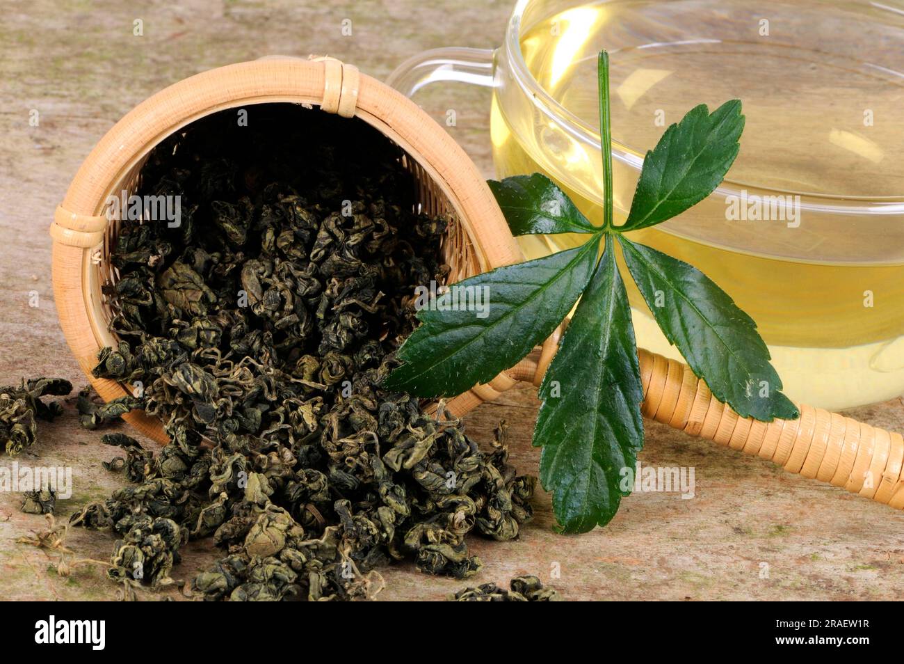 Cup of Jiaogulan tea, Jiaogulan, female ginseng, immortality herb