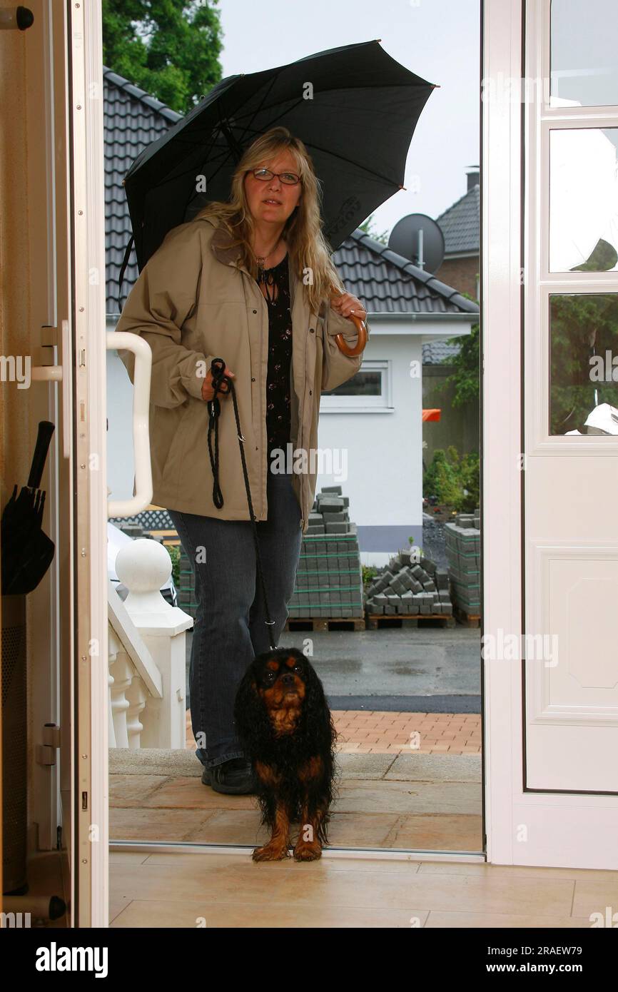 Cavalier King Charles Spaniel Umbrella - All Cavalier King Charles Spaniel Umbrella - All