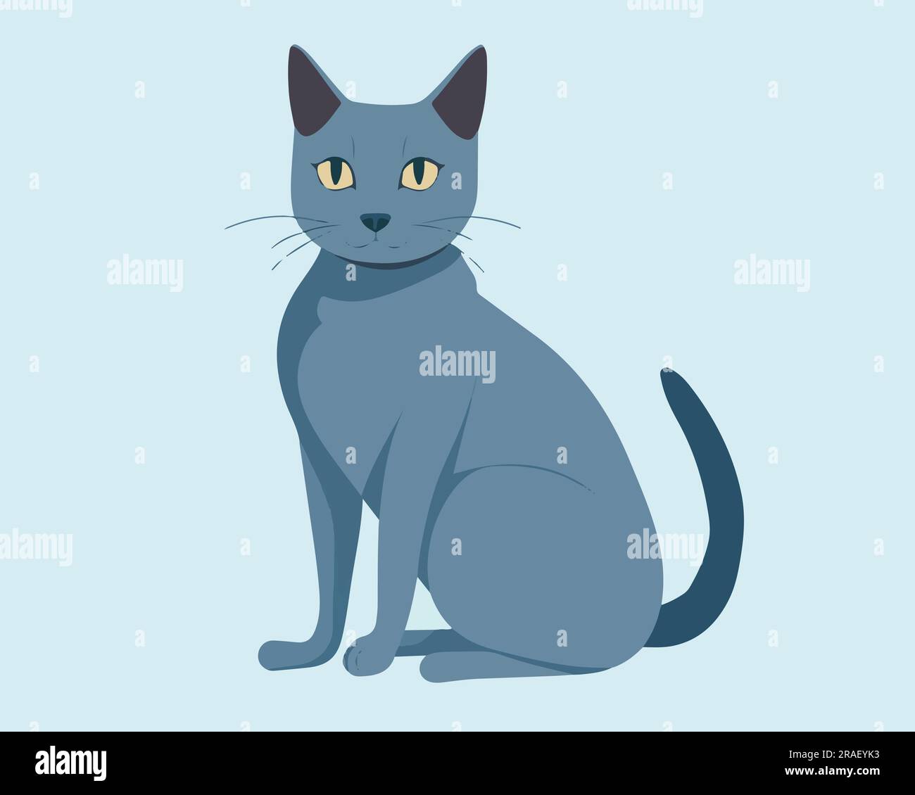 British Shorthair Flat vector illustration Stock Vector Image & Art Alamy