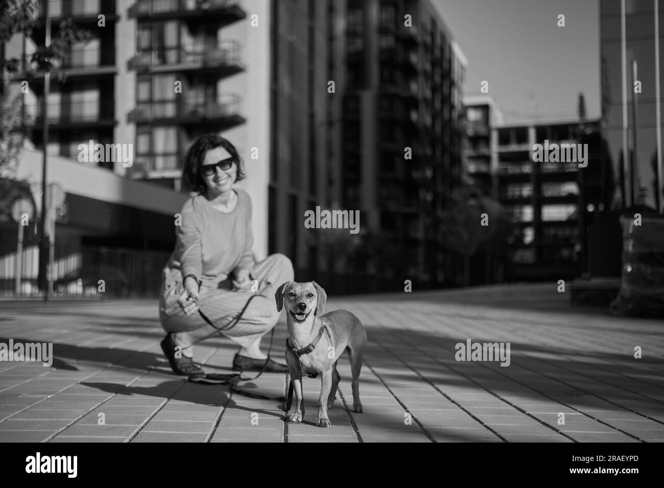 Young female adult in the city with a dog sitting and hugging, smiling. Petting the dog, feeding, having fun High quality photo Stock Photo