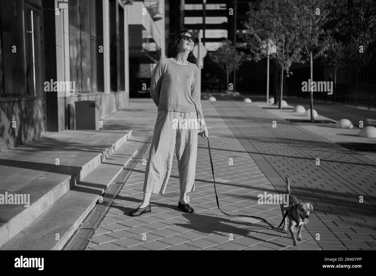 Young pretty female adult with small ginger dog in the bi city walking having fun. City view High quality photo Stock Photo
