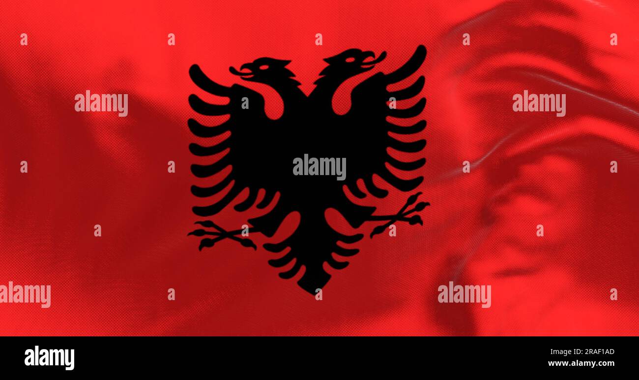 Close up Of The Albanian National Flag Waving Red Flag With Black Two Close up Of The Albanian National Flag Waving Red Flag With Black Two