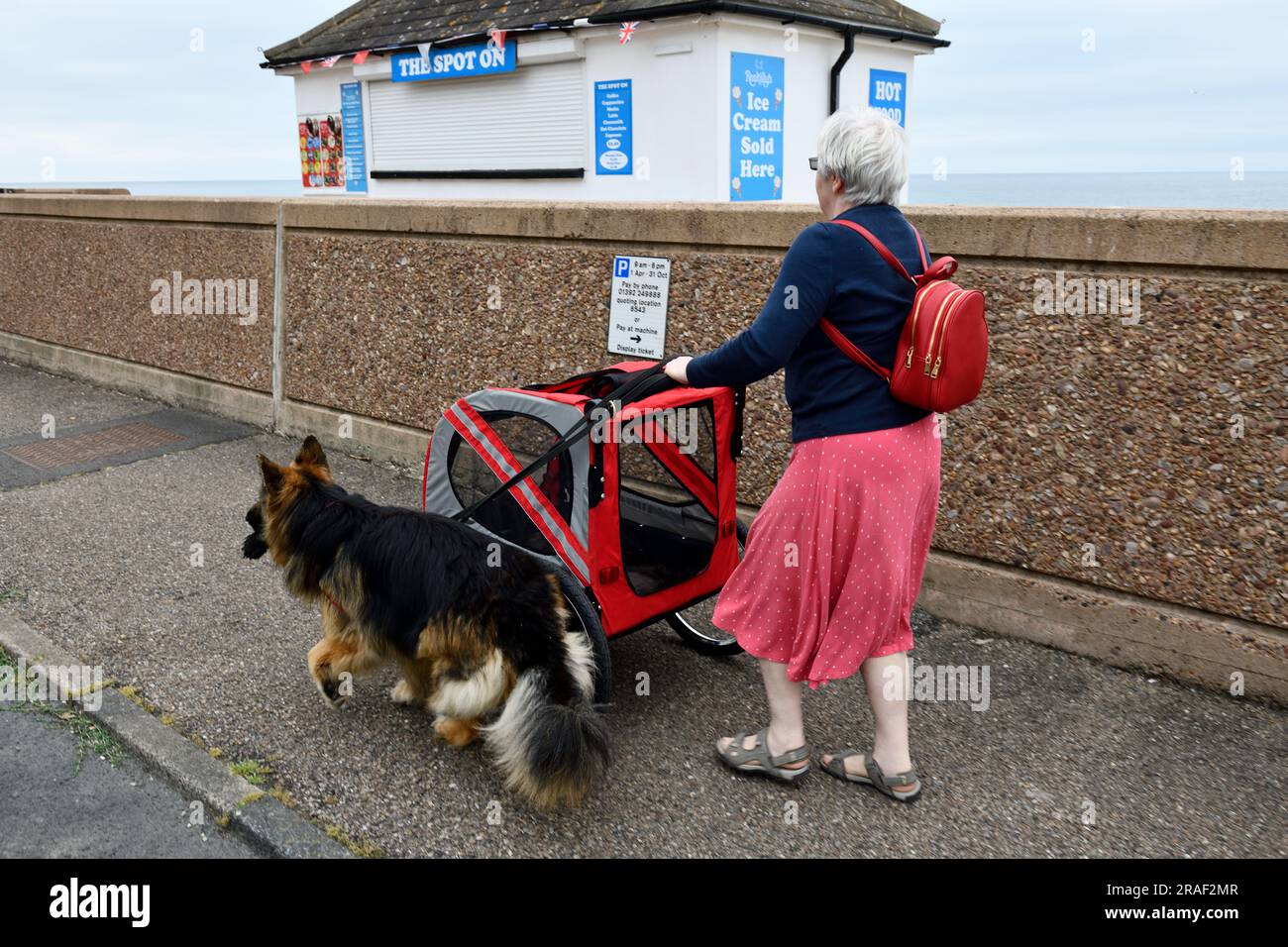 On Holiday with the Dogs in the Summer Seaton Devon England uk 2023