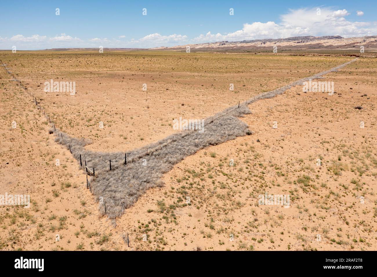 Dead tumbleweeds, Russian Thistle, trapped against a ranch fence line in the San Rafael Desert in Utah.  The San Rafael Reef is behind. Stock Photo