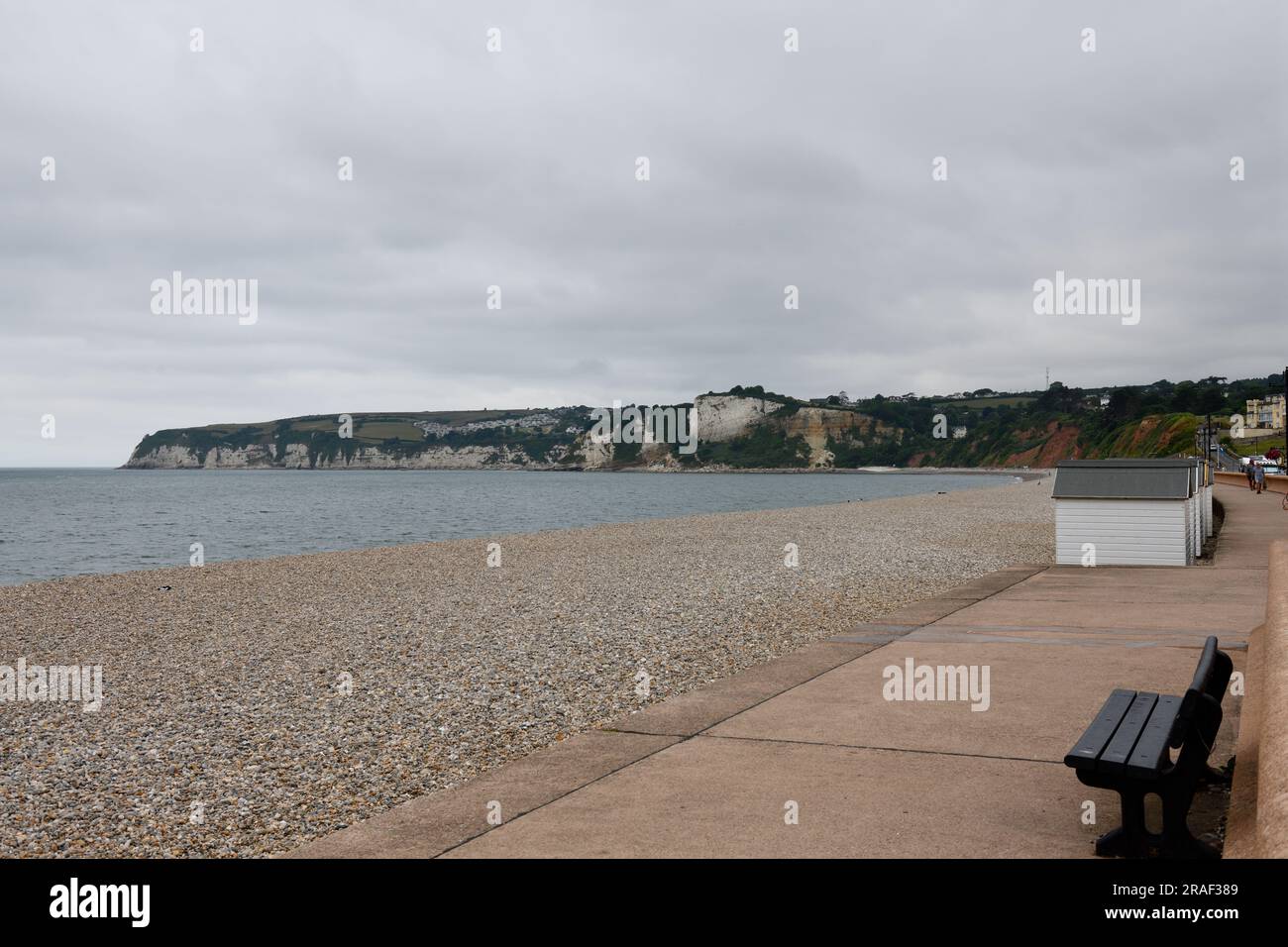 Seaton Beach in the Summer Devon England uk 2023 Stock Photo Alamy