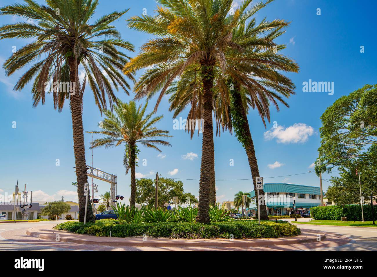 Stuart, FL, USA July 1, 2023 Palm trees at a roundabout traffic