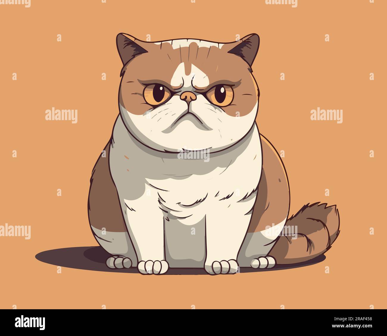 An angry British Shorthair Cat vector illustration Stock Vector