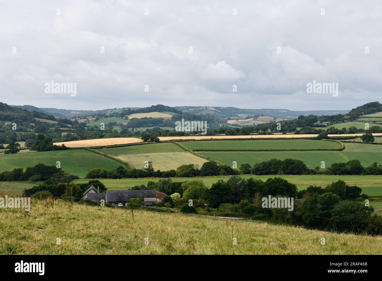 Colyton Town in the Coly Valley East Devon England uk Stock Photo Alamy