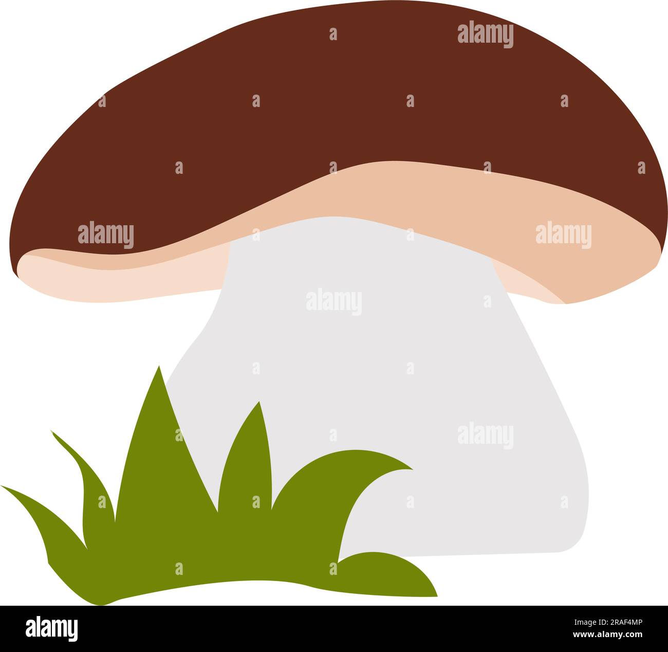 Boletus mushroom on a transparent background. Children's cartoon style Stock Vector