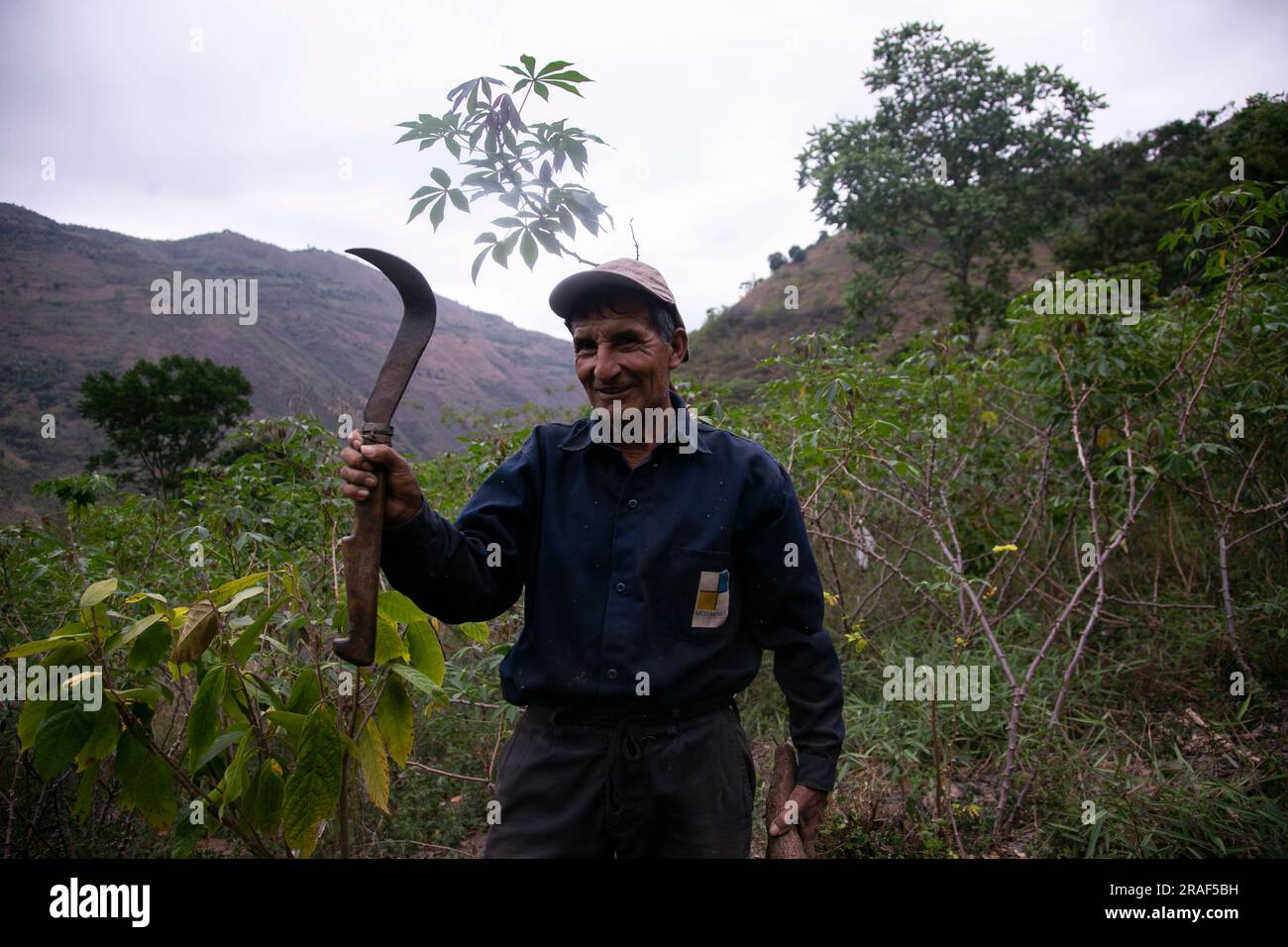 Santa Rosa, Peru; 1st October 2022: A farmer in his  plantation in the Peruvian jungle. Stock Photo
