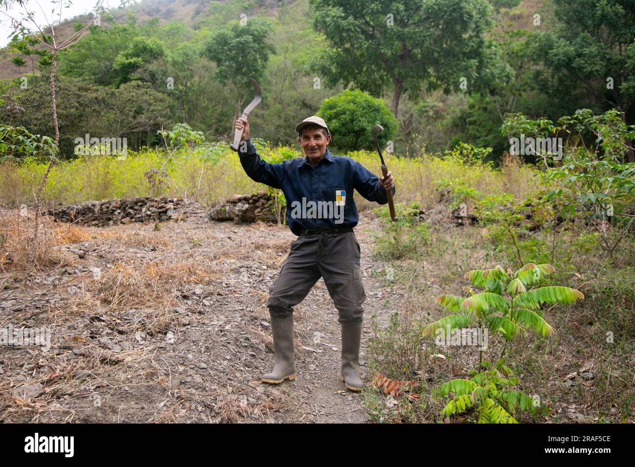 Santa Rosa, Peru; 1st October 2022: A farmer in his  plantation in the Peruvian jungle. Stock Photo