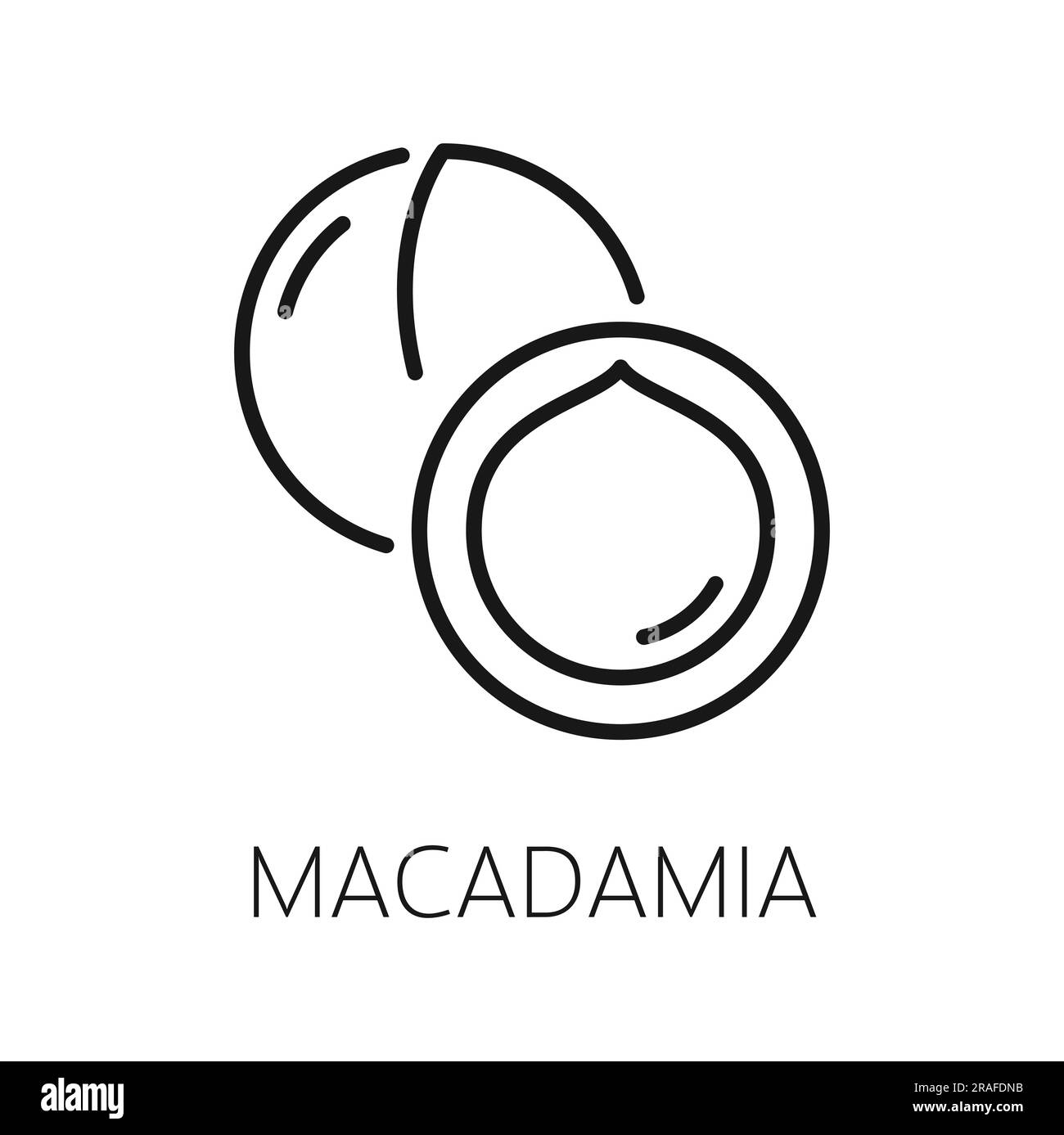 Macadamia nut in shell isolated queensland nut outline icon. Vector bush maroochy bauple nut, exotic tropical dessert tasty snack, thin line Stock Vector