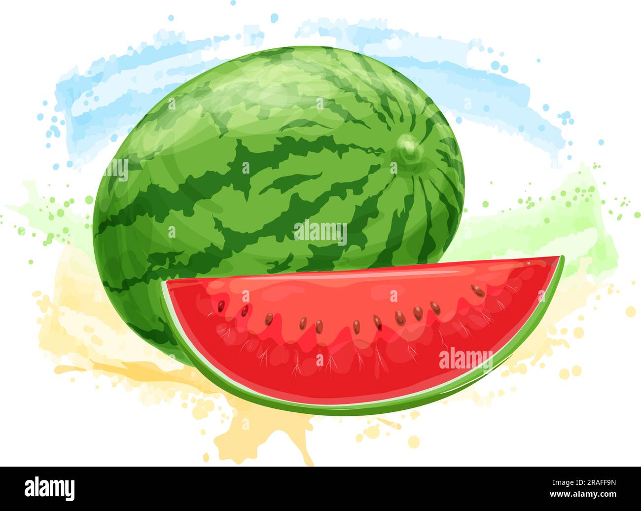 Watercolor watermelon sketch Stock Vector Image & Art Alamy