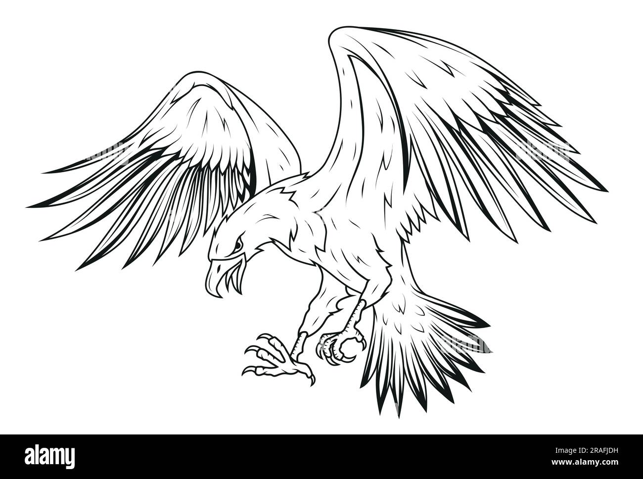 Eagle. Vector illustration of a sketch soaring bald eagle. National