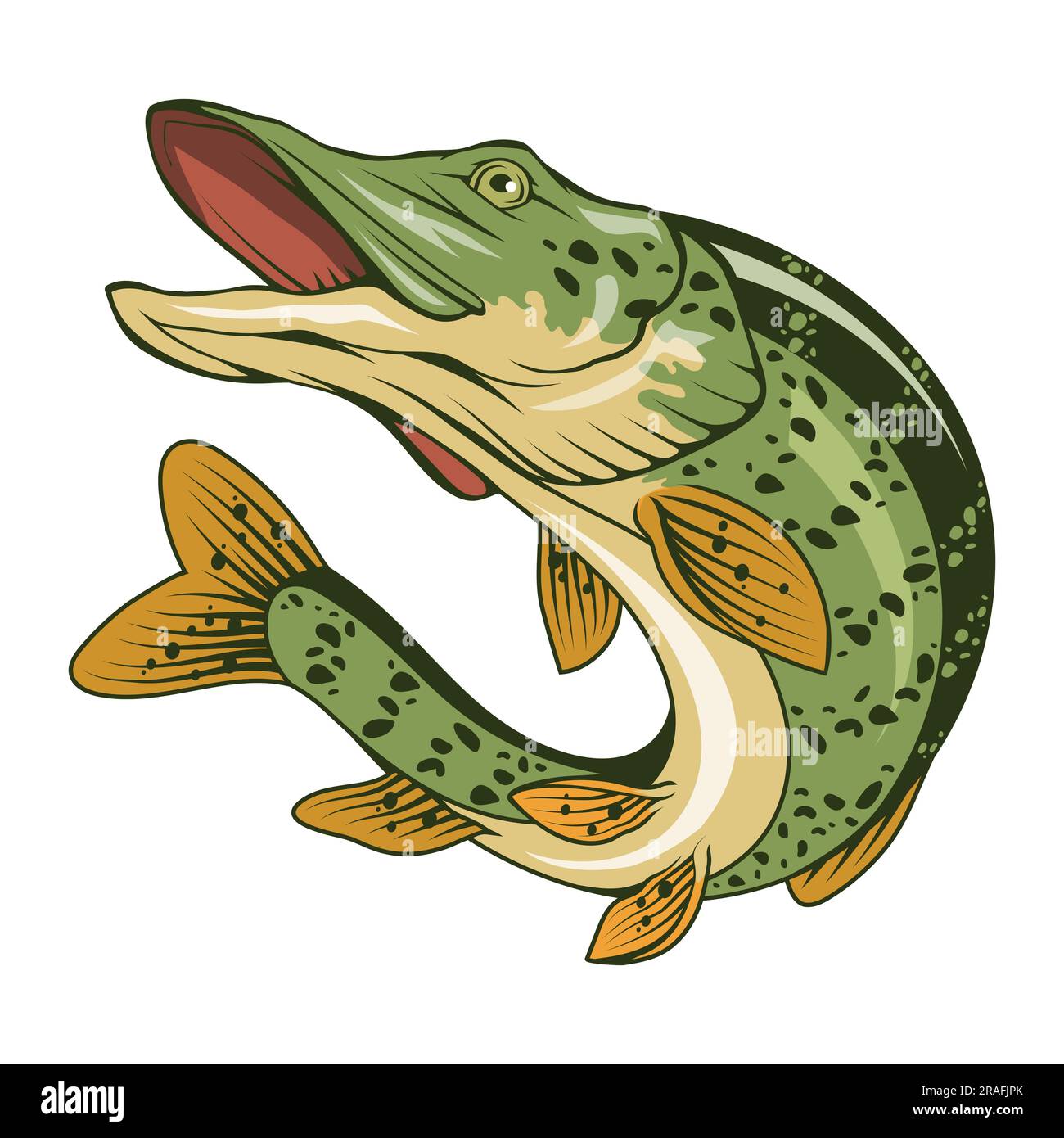 Pike. Vector illustration of a jumping fish. Fishing logo. Angry